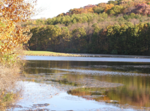 2016-01-11 02.32.35 pm